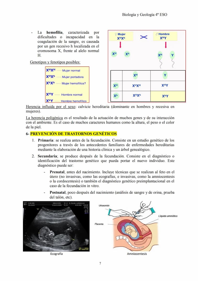 Biología y Geología 4º ESO
TEMA 2: GENÉTICA BÁSICA y G. MENDELIANA
1- CONCEPTOS BÁSICOS DE GENÉTICA
Herencia biológica: proceso de transmisi