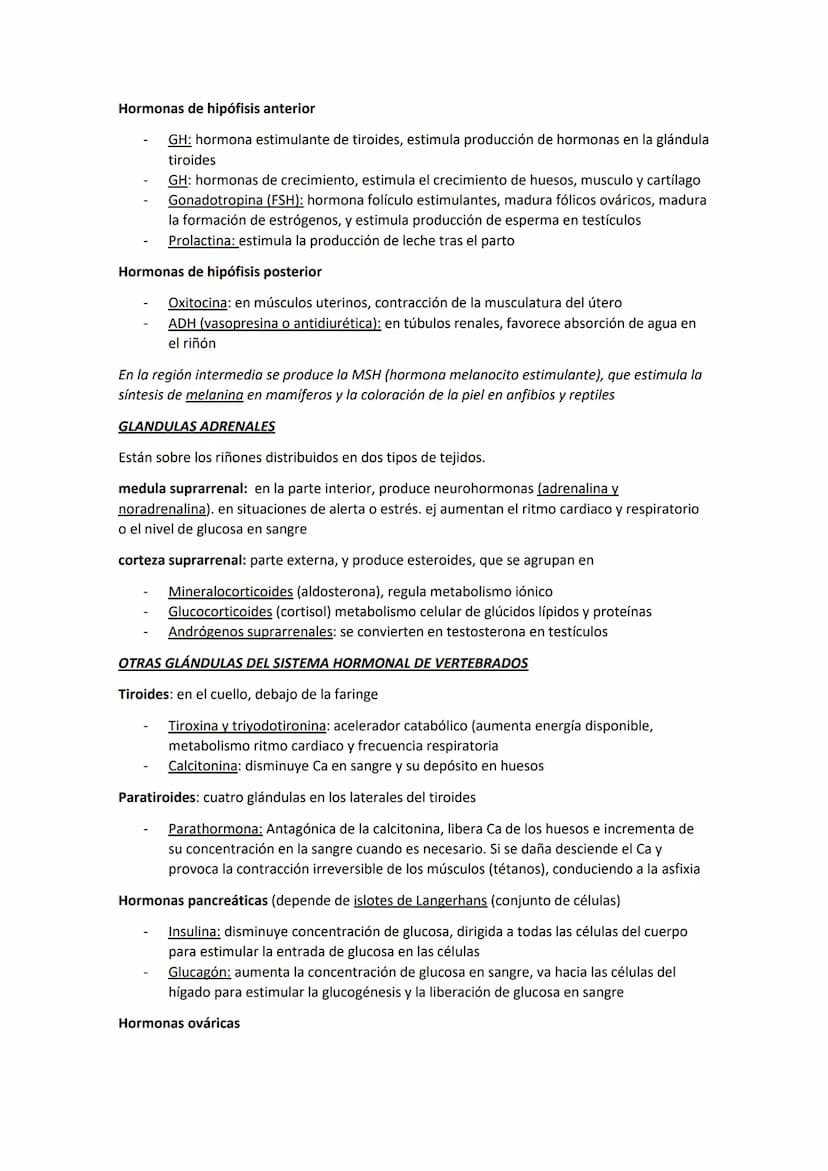 SISTEMA ENDOCRINO
Coordinación hormonal gracias a un conjunto de células, órganos o glándulas que producen
hormonas, gran importancia en hom