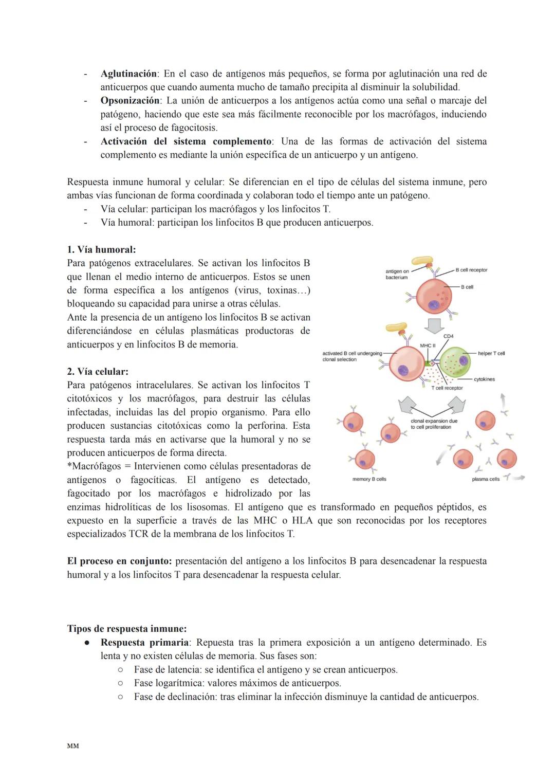 # TEMA 12: INMUNOLOGÍA

La inmunología es la ciencia que estudia los mecanismos de defensa que protegen al organismo de
infecciones producid