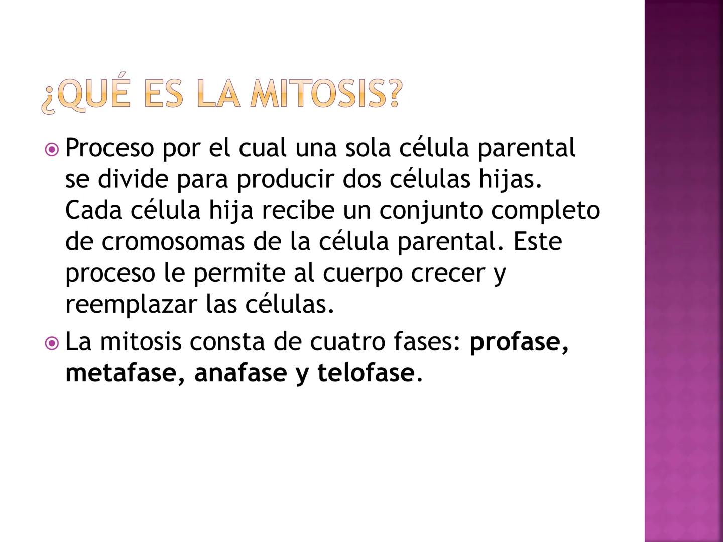 PRÁCTICA DE
MITOSIS ¿QUÉ ES LA MITOSIS?
• Proceso por el cual una sola célula parental
se divide para producir dos células hijas.
Cada célul