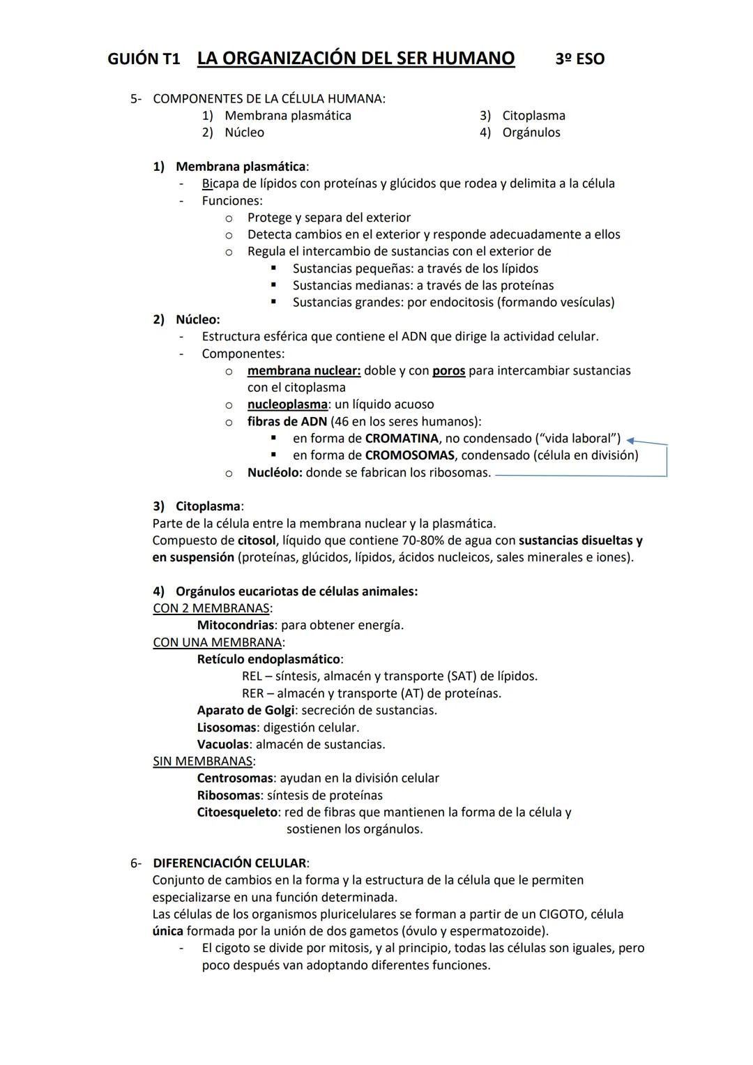 GUIÓN T1 LA ORGANIZACIÓN DEL SER HUMANO
1- Niveles de organización:
a.
b. Bióticos
2- Tipos de células:
a. Procariotas
b. Eucariotas:
Abióti
