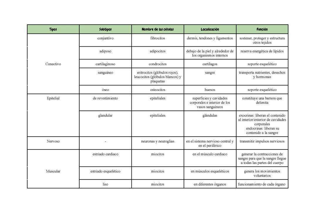 Tipos de Tejidos del Cuerpo Humano