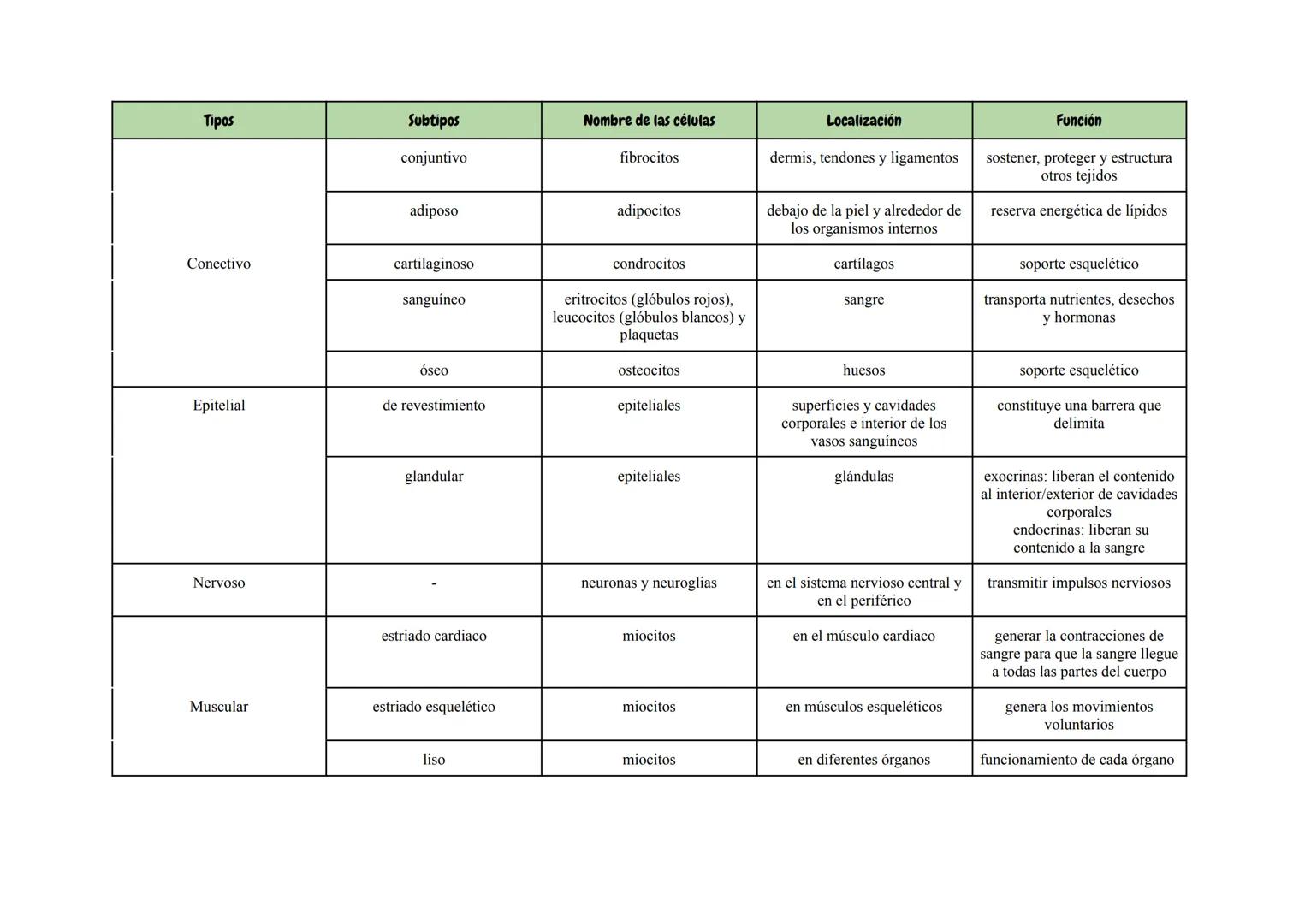Tipos
Subtipos
conjuntivo
Nombre de las células
Localización
fibrocitos
dermis, tendones y ligamentos
adiposo
adipocitos
debajo de la piel y