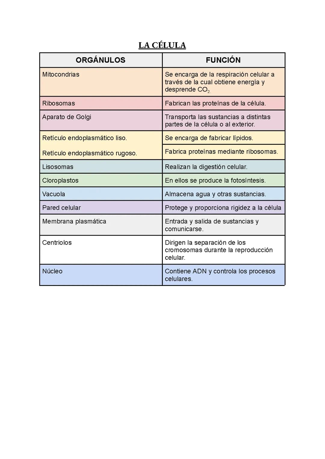 Orgánulos celulares -- Biología 3º ESO