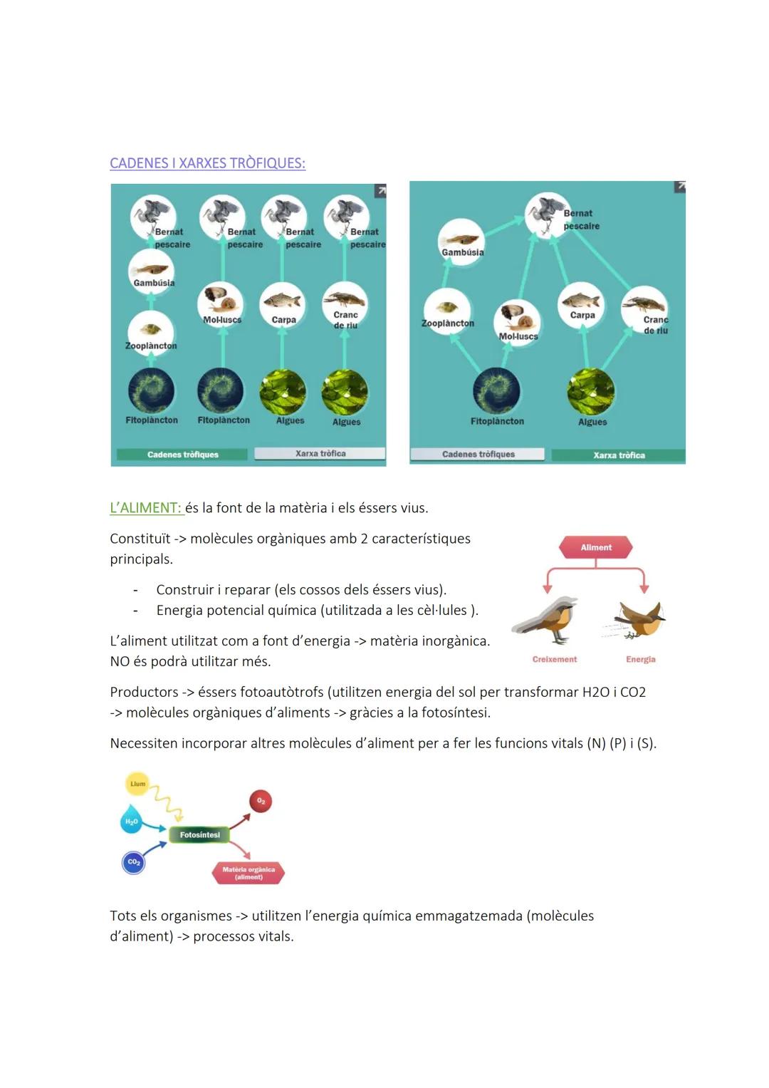 # EL FLUX DE LA MATERERIA I LA ENERGIA ALS
## ECOSISTEMES

ECOSISTEMA: és un conjunt d'organismes que comparteixen:

- Un entorn determinat.