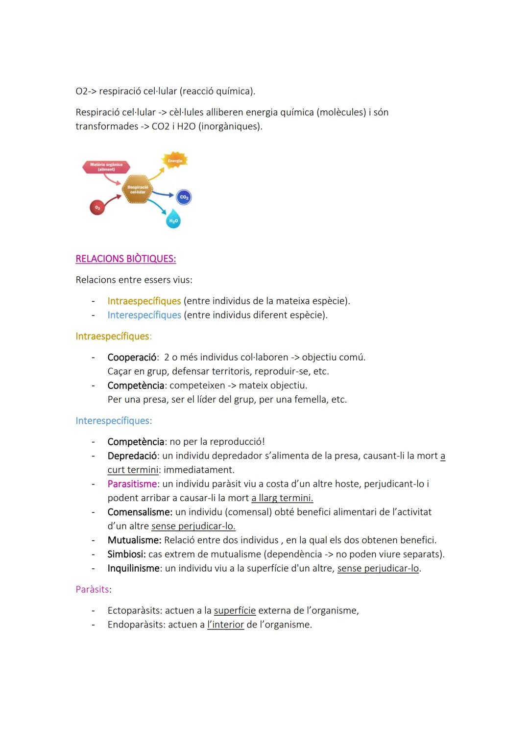 # EL FLUX DE LA MATERERIA I LA ENERGIA ALS
## ECOSISTEMES

ECOSISTEMA: és un conjunt d'organismes que comparteixen:

- Un entorn determinat.