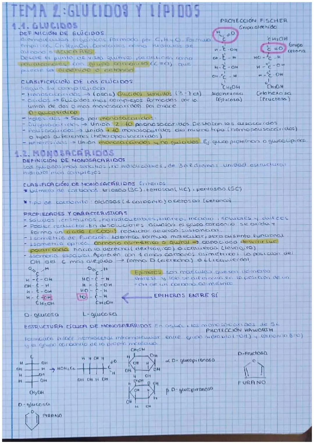Guía Completa sobre Glúcidos y Lípidos