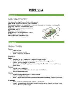 Know Citología thumbnail