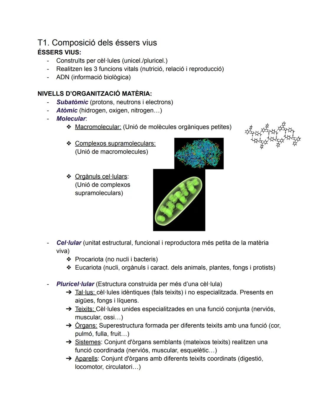 --- OCR Start ---
T1. Composició dels éssers vius
ÉSSERS VIUS:
- Construïts per cèl·lules (unicel./pluricel.)
- Realitzen les 3 funcions vit
