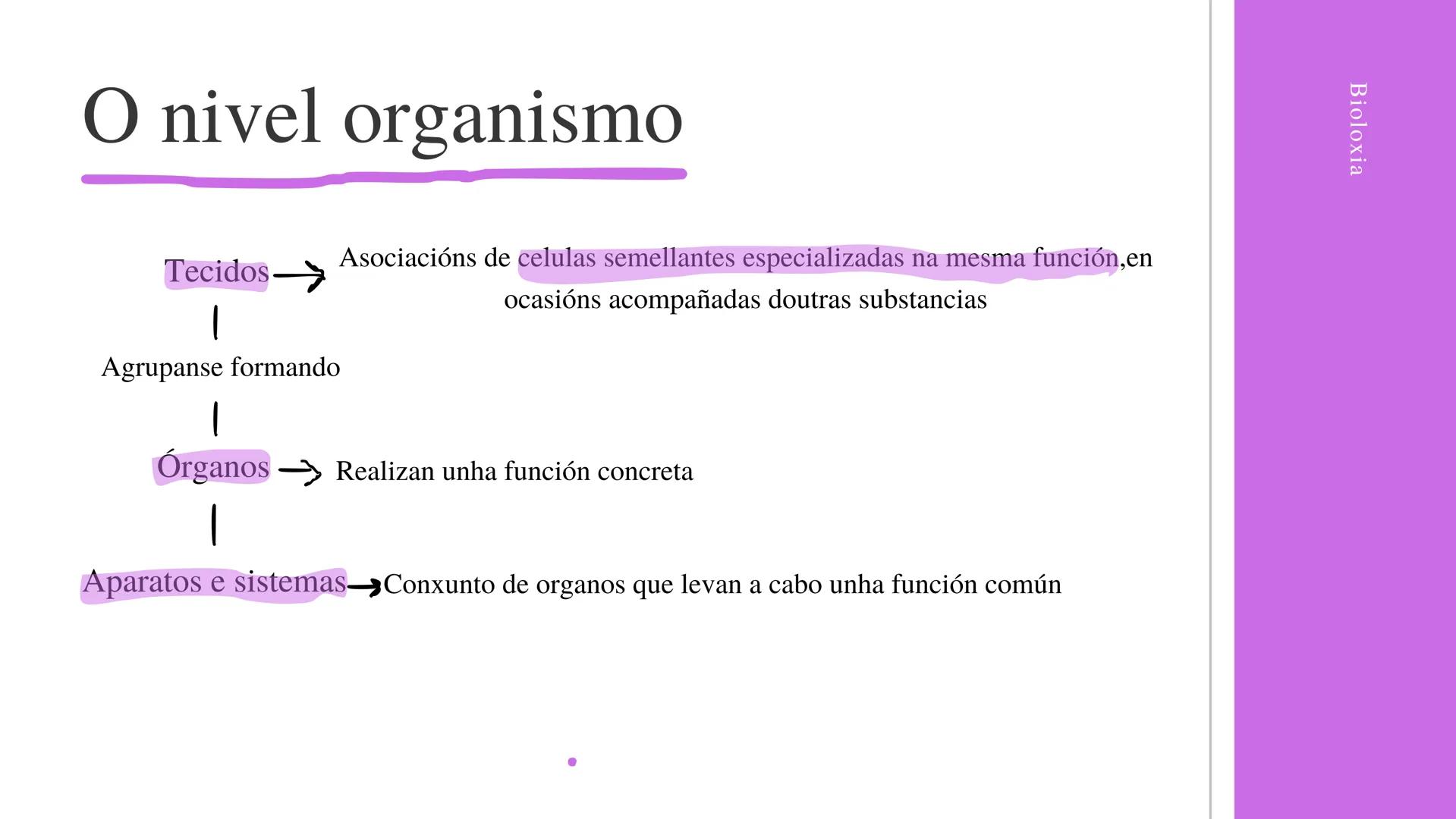 # A organización
do ser humano

Berta Pérez Conde

Bioloxía Indice
-OS NIVEIS DE ORGANIZACIÓN
-A CELULA HUMANA
-A DIFERENCIACIÓN CELULAR
-OS