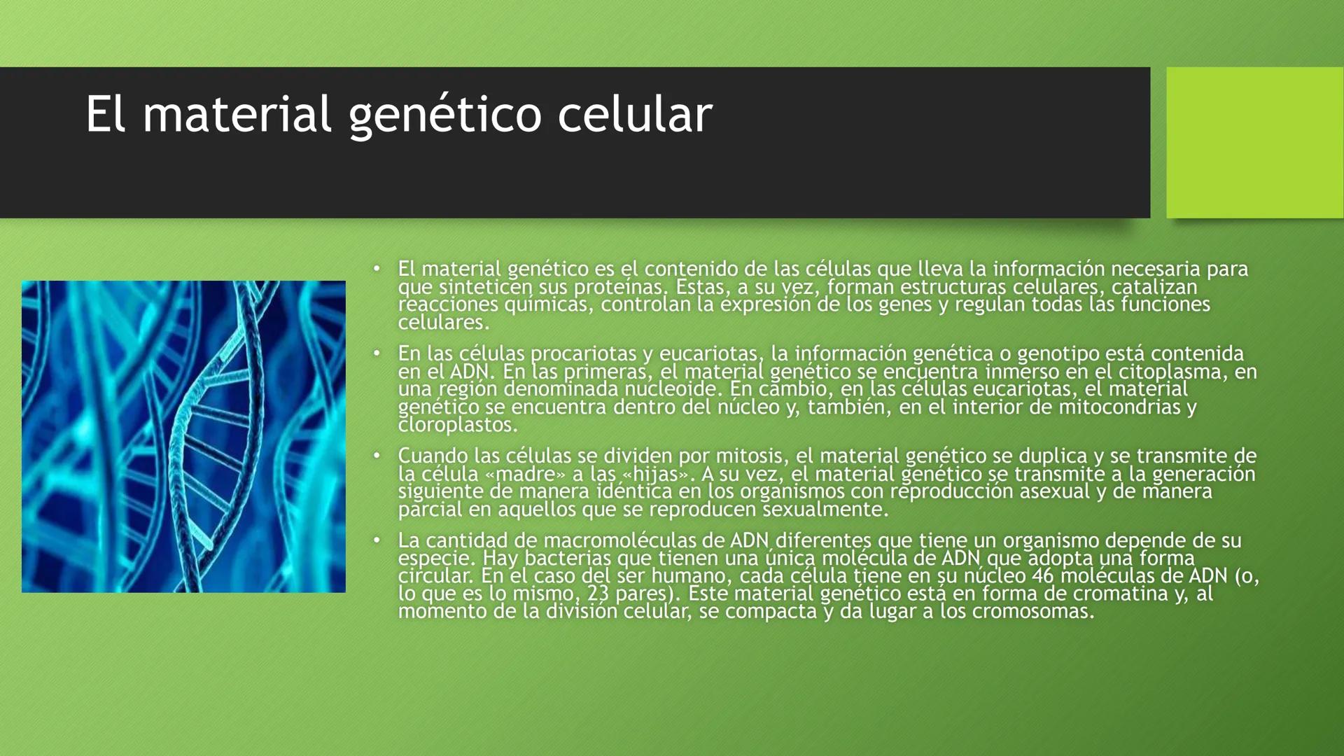 La división celular:
mitosis y meiosis
Alba Ruiz Martín Índice
• El ciclo celular:
concepto -3
fases-4
●
●
. - Interfase-5
●
-Fase g1-7
-Fas