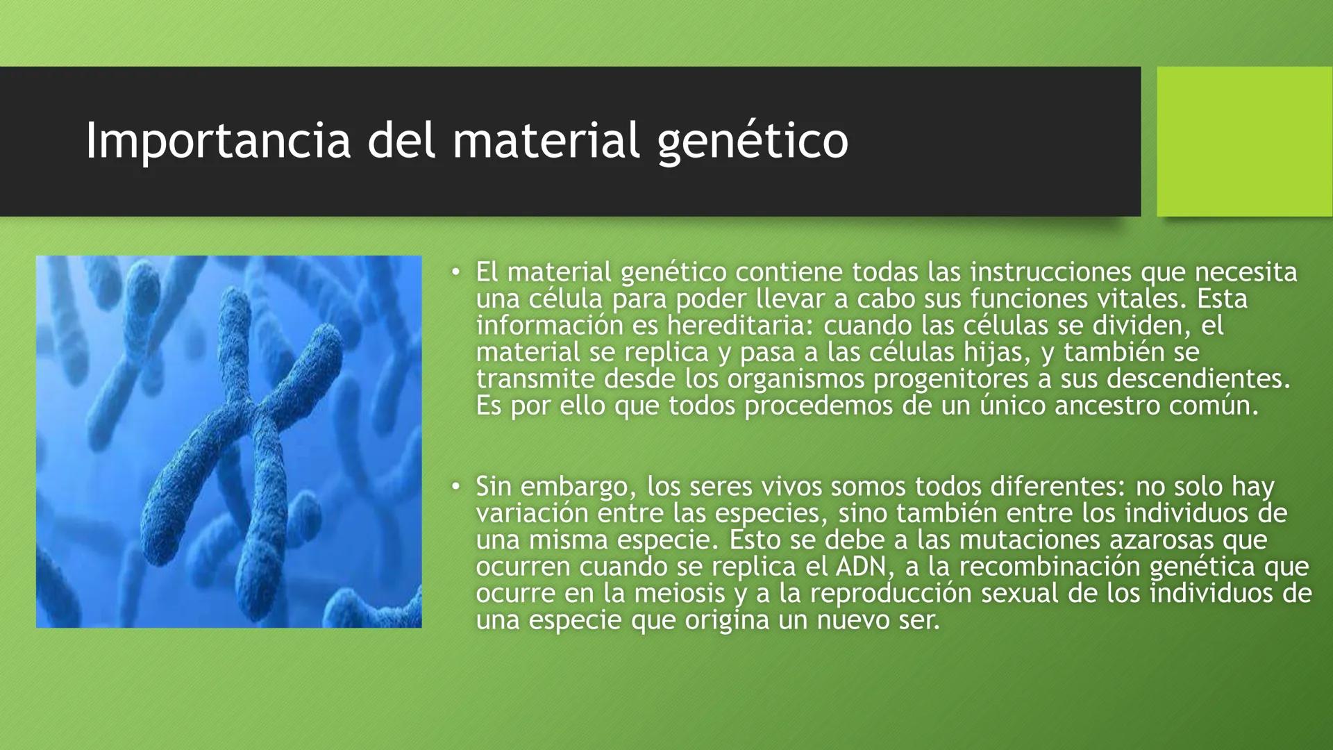 La división celular:
mitosis y meiosis
Alba Ruiz Martín Índice
• El ciclo celular:
concepto -3
fases-4
●
●
. - Interfase-5
●
-Fase g1-7
-Fas