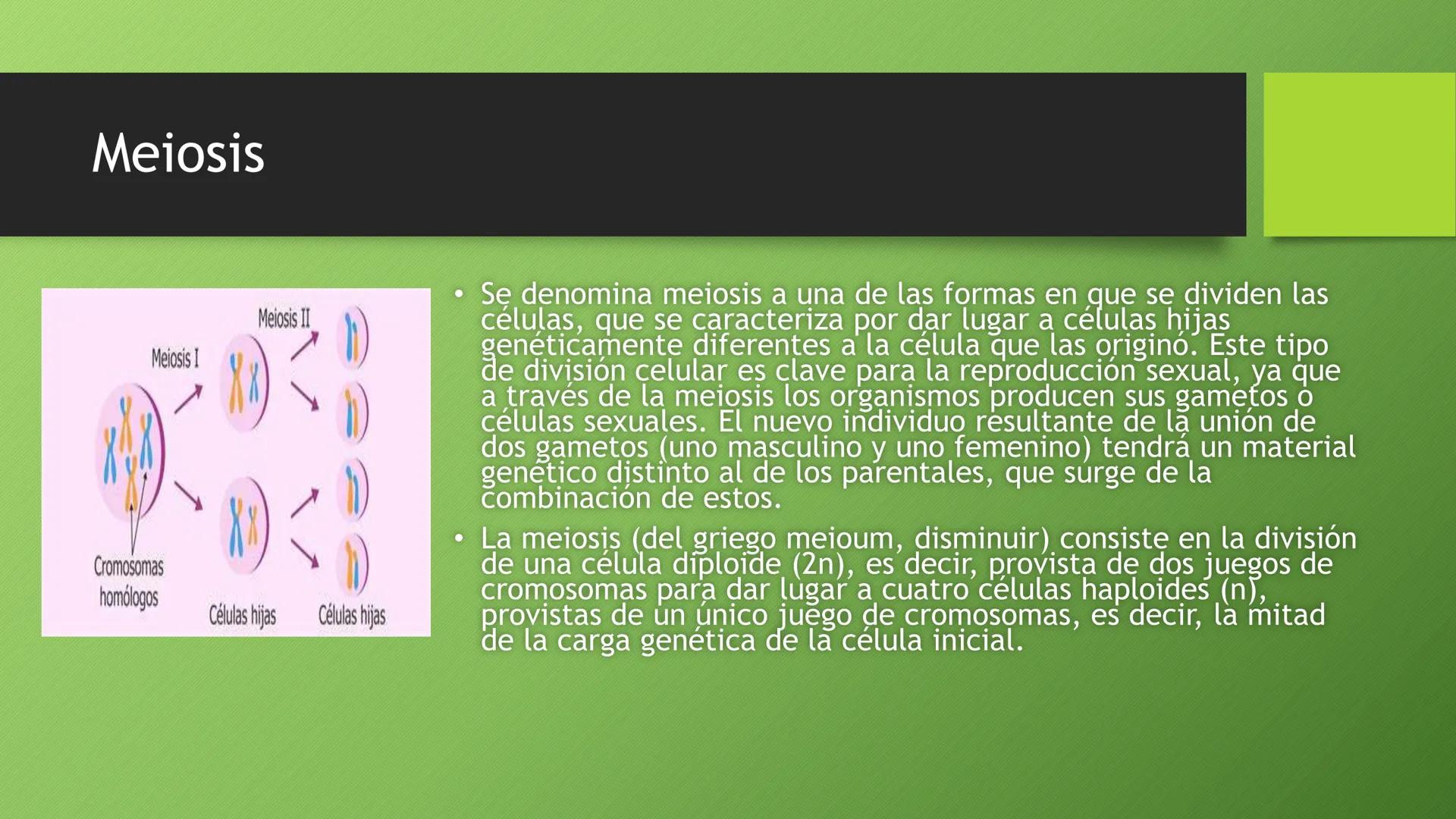 La división celular:
mitosis y meiosis
Alba Ruiz Martín Índice
• El ciclo celular:
concepto -3
fases-4
●
●
. - Interfase-5
●
-Fase g1-7
-Fas