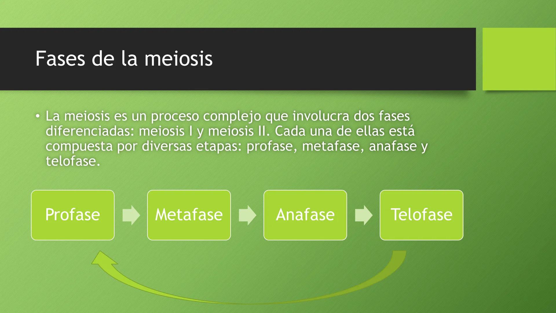 La división celular:
mitosis y meiosis
Alba Ruiz Martín Índice
• El ciclo celular:
concepto -3
fases-4
●
●
. - Interfase-5
●
-Fase g1-7
-Fas