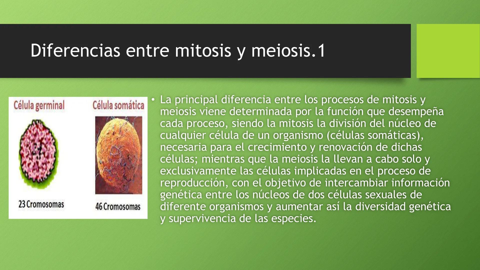 La división celular:
mitosis y meiosis
Alba Ruiz Martín Índice
• El ciclo celular:
concepto -3
fases-4
●
●
. - Interfase-5
●
-Fase g1-7
-Fas