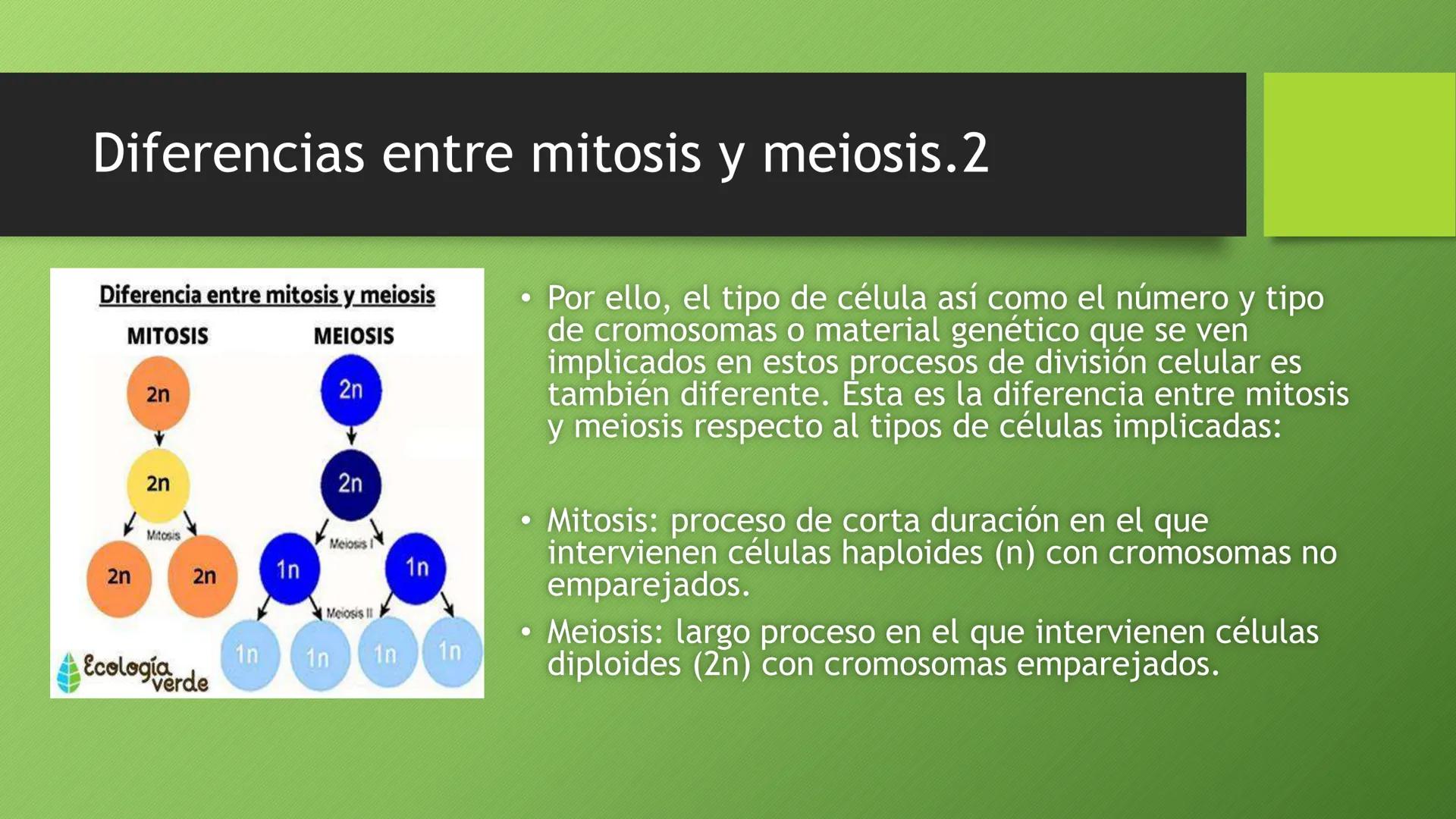 La división celular:
mitosis y meiosis
Alba Ruiz Martín Índice
• El ciclo celular:
concepto -3
fases-4
●
●
. - Interfase-5
●
-Fase g1-7
-Fas