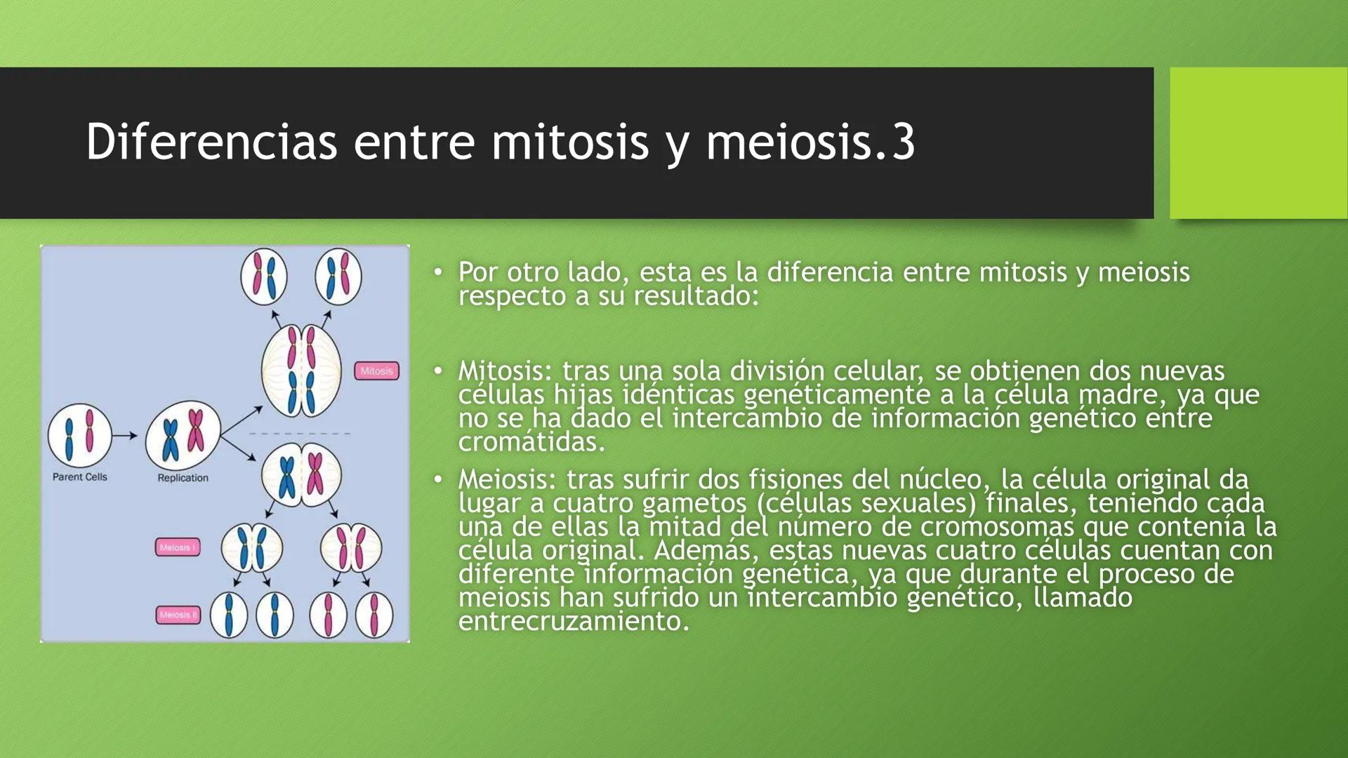 La división celular:
mitosis y meiosis
Alba Ruiz Martín Índice
• El ciclo celular:
concepto -3
fases-4
●
●
. - Interfase-5
●
-Fase g1-7
-Fas