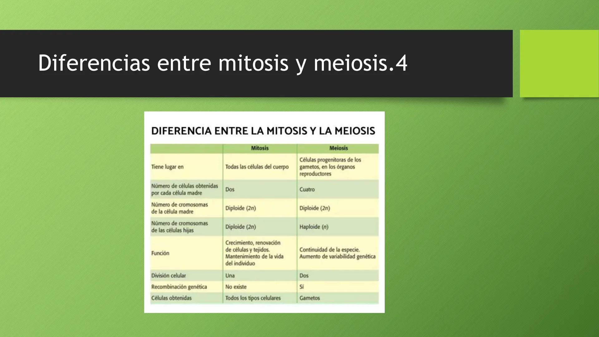 La división celular:
mitosis y meiosis
Alba Ruiz Martín Índice
• El ciclo celular:
concepto -3
fases-4
●
●
. - Interfase-5
●
-Fase g1-7
-Fas