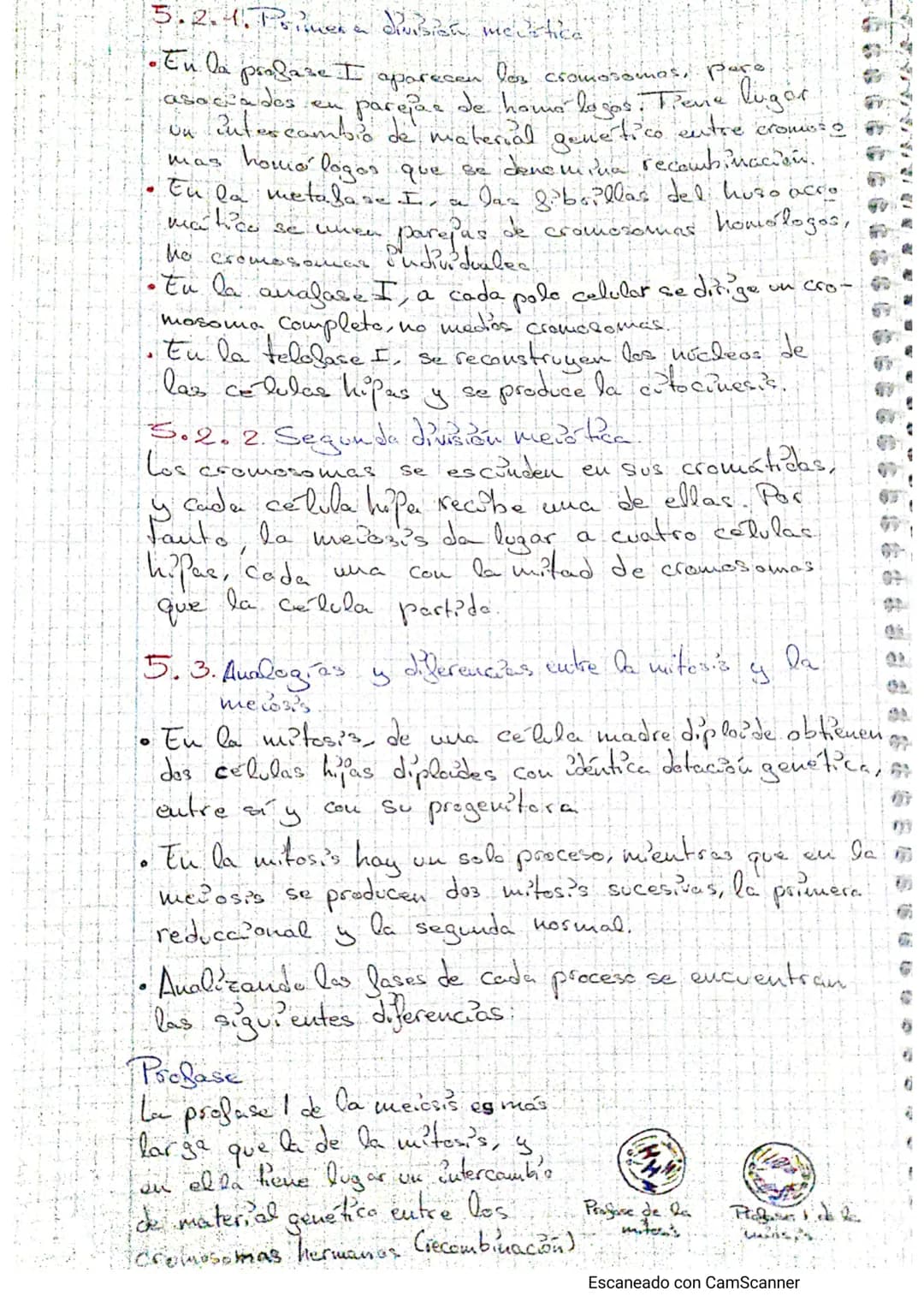 Tema - La calulba
1. Estructura celular y funciones
Teoría celulars-todos los seres vivos están formados por lite o tuos
célula, cuicelulare