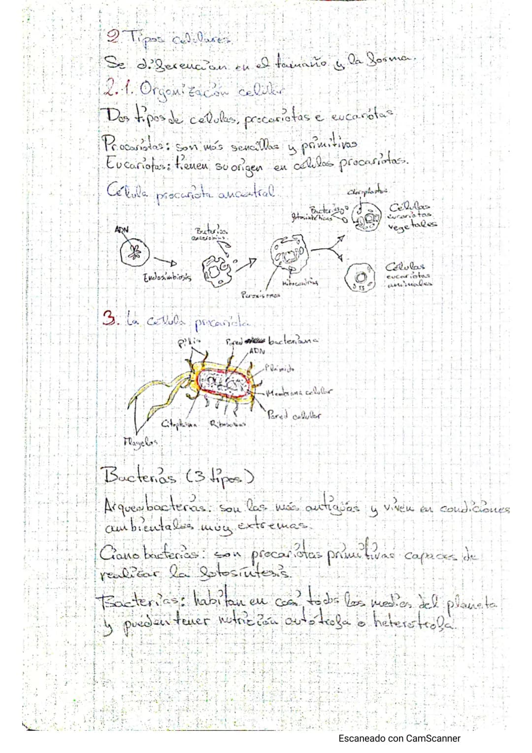 Tema - La calulba
1. Estructura celular y funciones
Teoría celulars-todos los seres vivos están formados por lite o tuos
célula, cuicelulare
