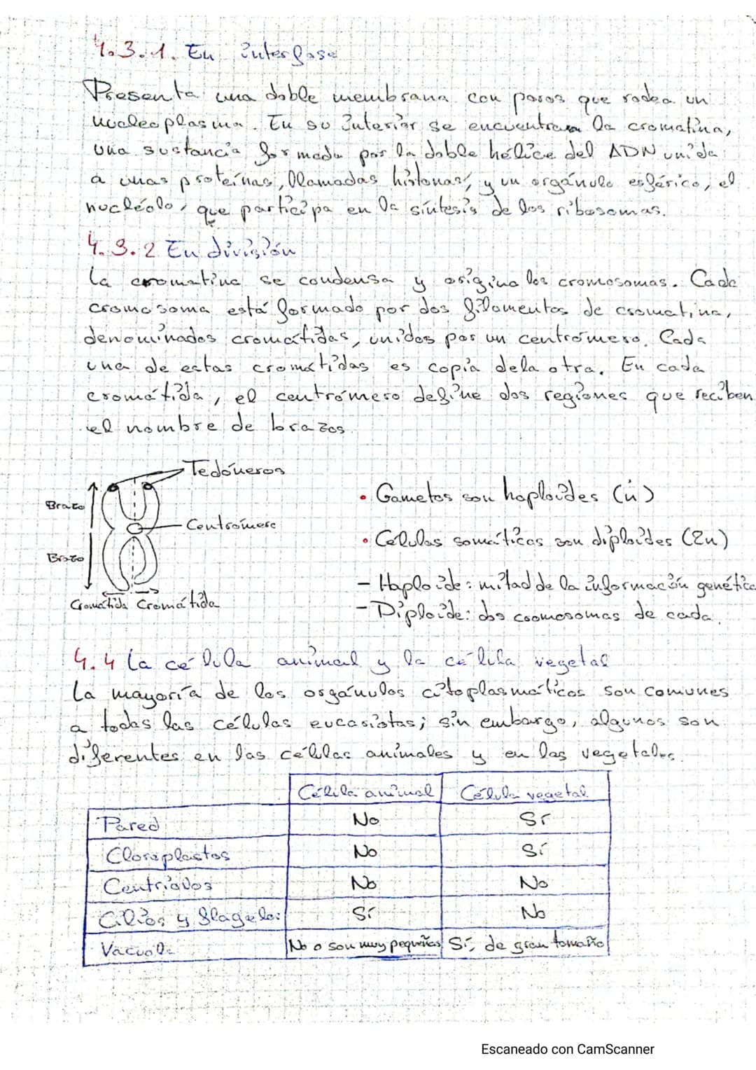 Tema - La calulba
1. Estructura celular y funciones
Teoría celulars-todos los seres vivos están formados por lite o tuos
célula, cuicelulare
