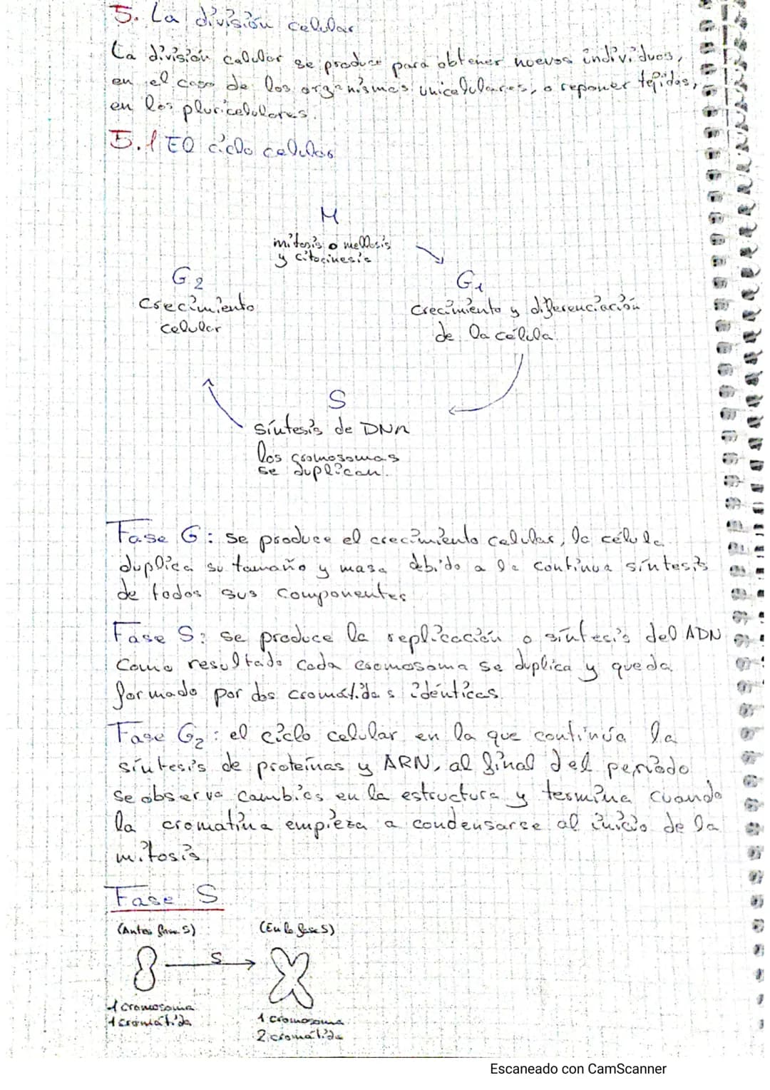Tema - La calulba
1. Estructura celular y funciones
Teoría celulars-todos los seres vivos están formados por lite o tuos
célula, cuicelulare