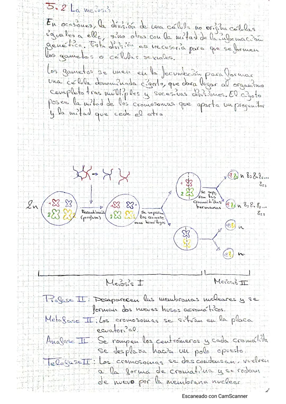 Tema - La calulba
1. Estructura celular y funciones
Teoría celulars-todos los seres vivos están formados por lite o tuos
célula, cuicelulare