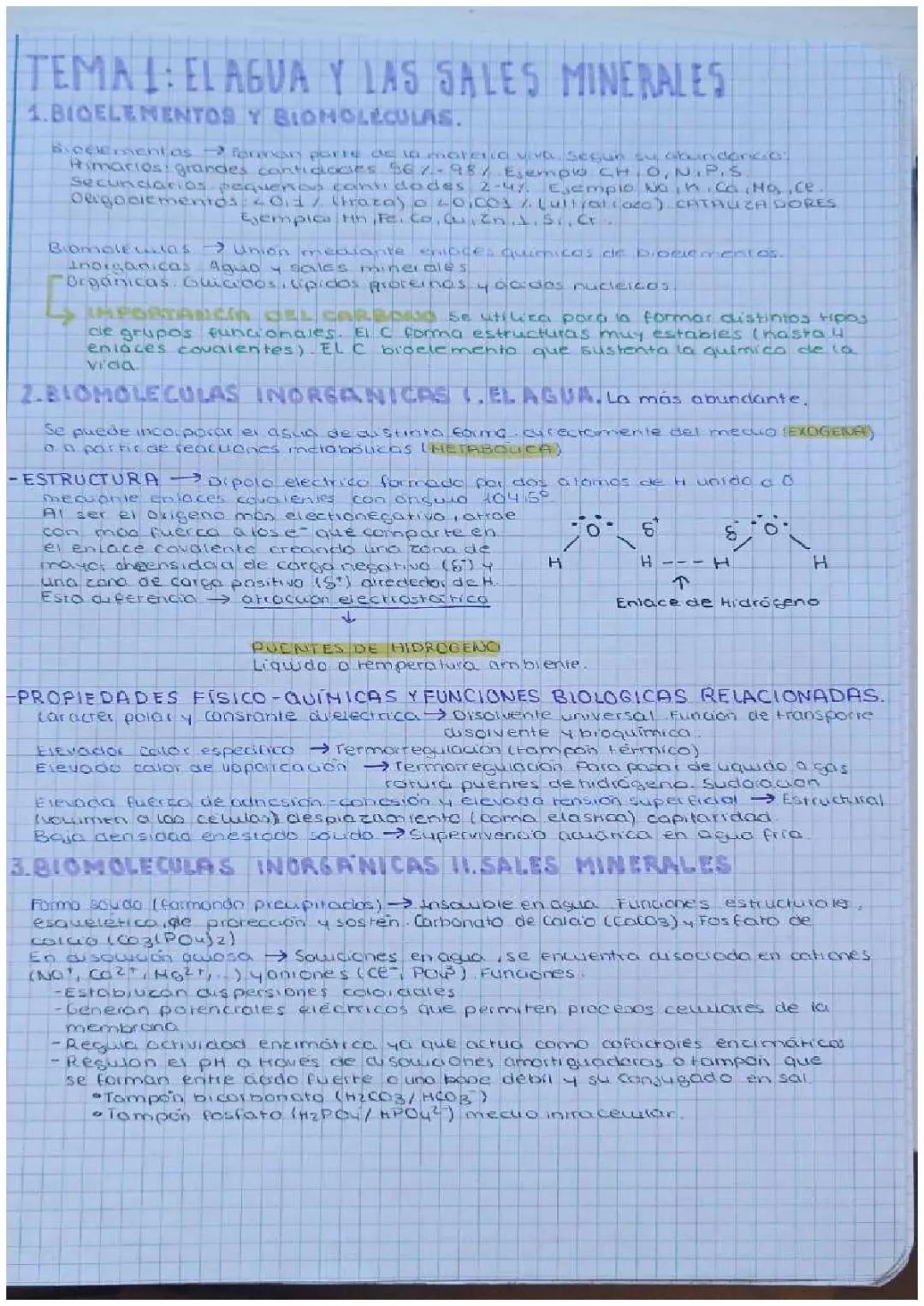 El agua y las sales minerales: guía completa para selectividad