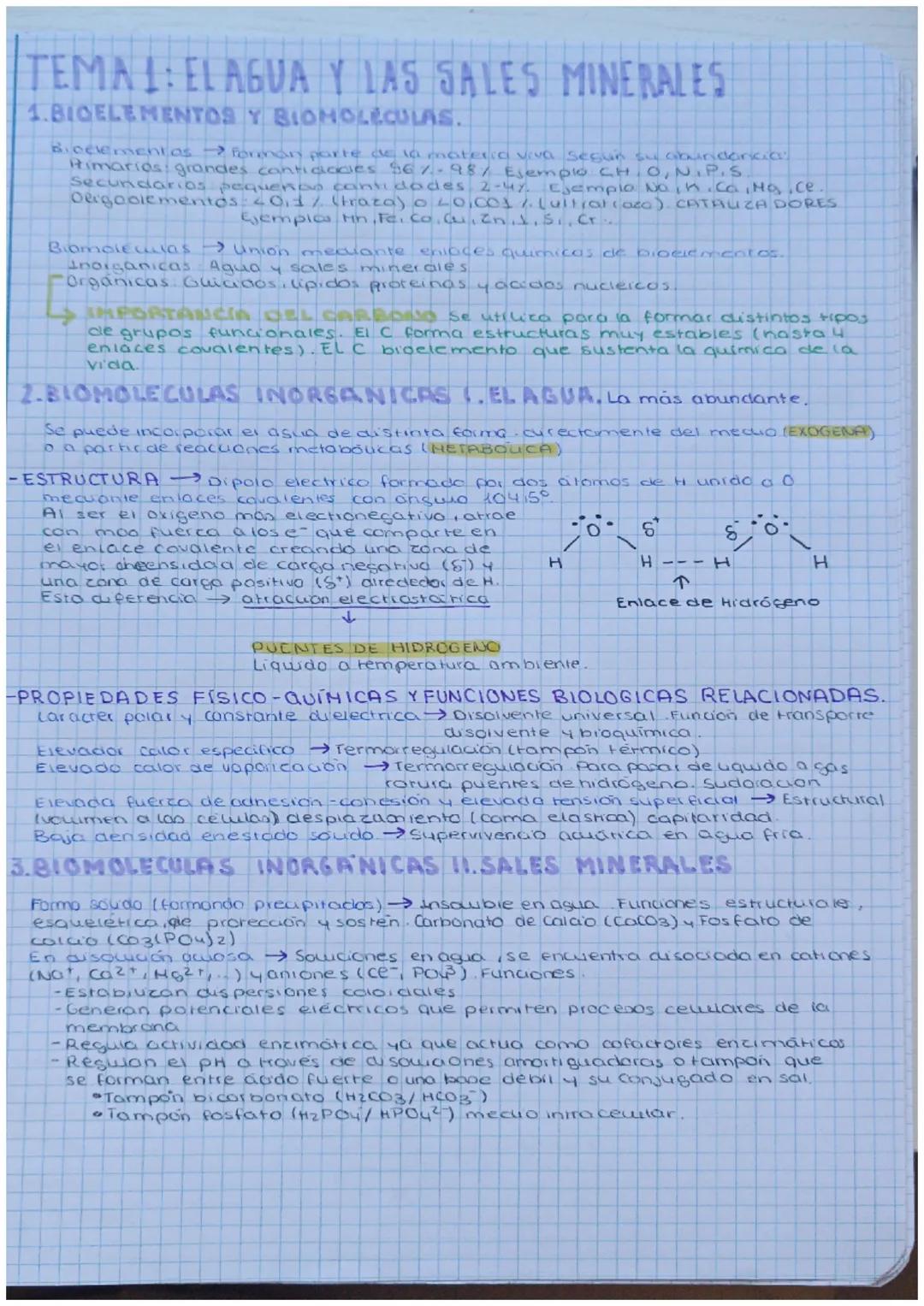 TEMA 1: EL AGUA Y LAS SALES MINERALES
1.BIOELEMENTOS Y BIOMOLECULAS.
Bicclement as forman parte de la materia viva Sesun su abundancia
Rimar