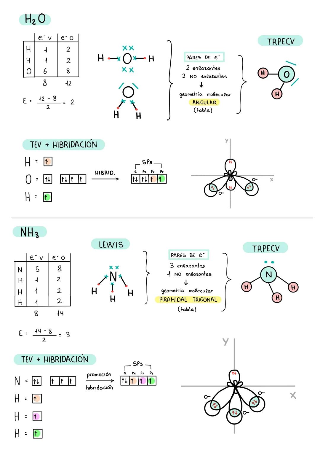 ¿Qué es la Hibridación de Moléculas? Geometría Molecular y Más