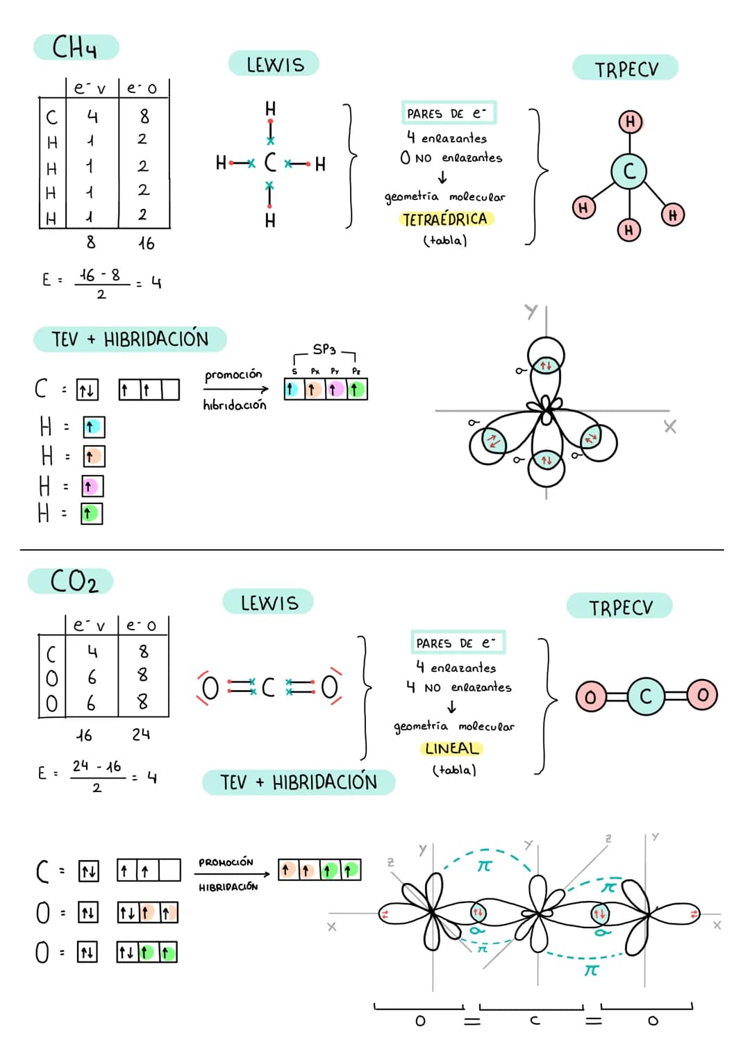 Z I I
N
H
H
H
H₂O
E =
H 1
1
HO
N
NH3
e v
E =
=
128
2
: ↑
STT T
5
6
8
TEV + HIBRIDACIÓN
H
1
1
8
e v e o
8
↑
↑↓
↑
e o
14-8
2
N X
2
d d
2
2
∞ N