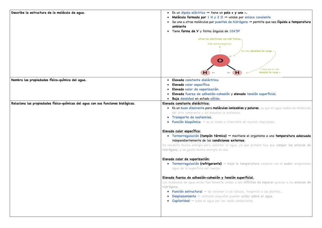 El agua y las sales minerales (actividades/flashcards)