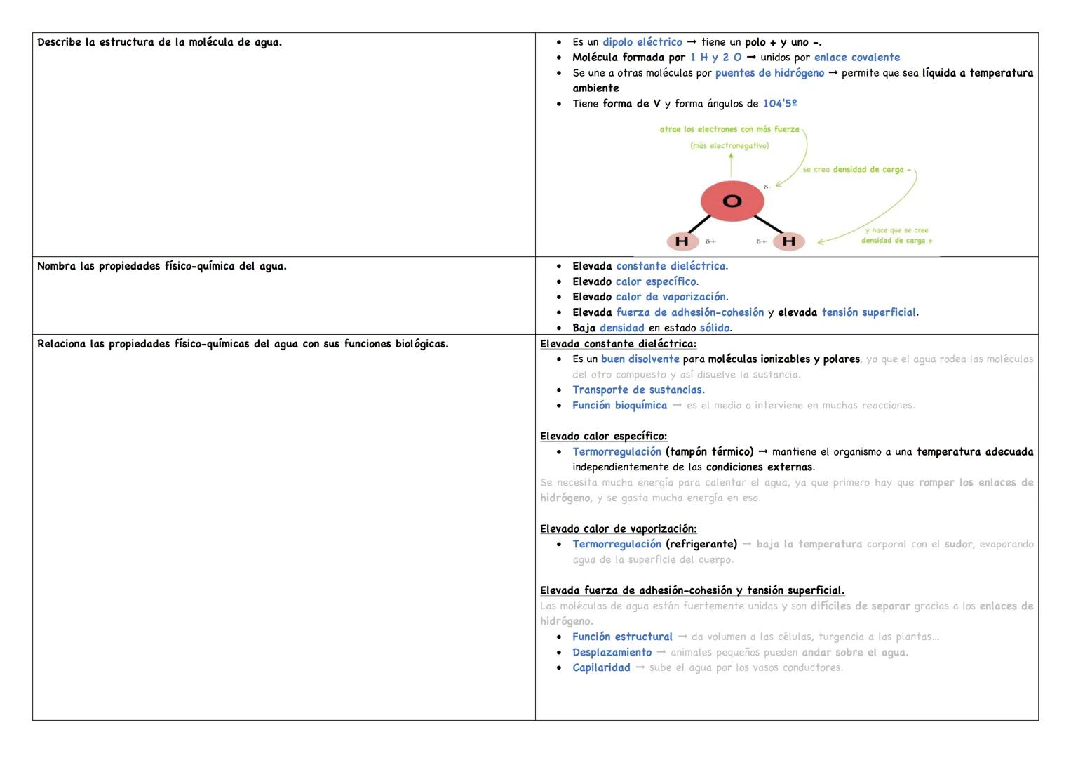 # Describe la estructura de la molécula de agua.

- Es un dipolo eléctrico $\longrightarrow$ tiene un polo + y uno -.
- Molécula formada por