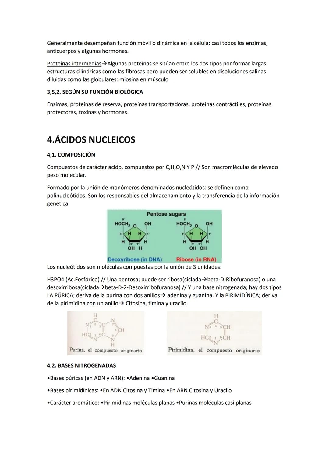 
<h2 id="definicindemonmerosypolmeros">Definición de Monómeros y Polímeros</h2>
<h3 id="monmeros">Monómeros</h3>
<p>Los monómeros son compue