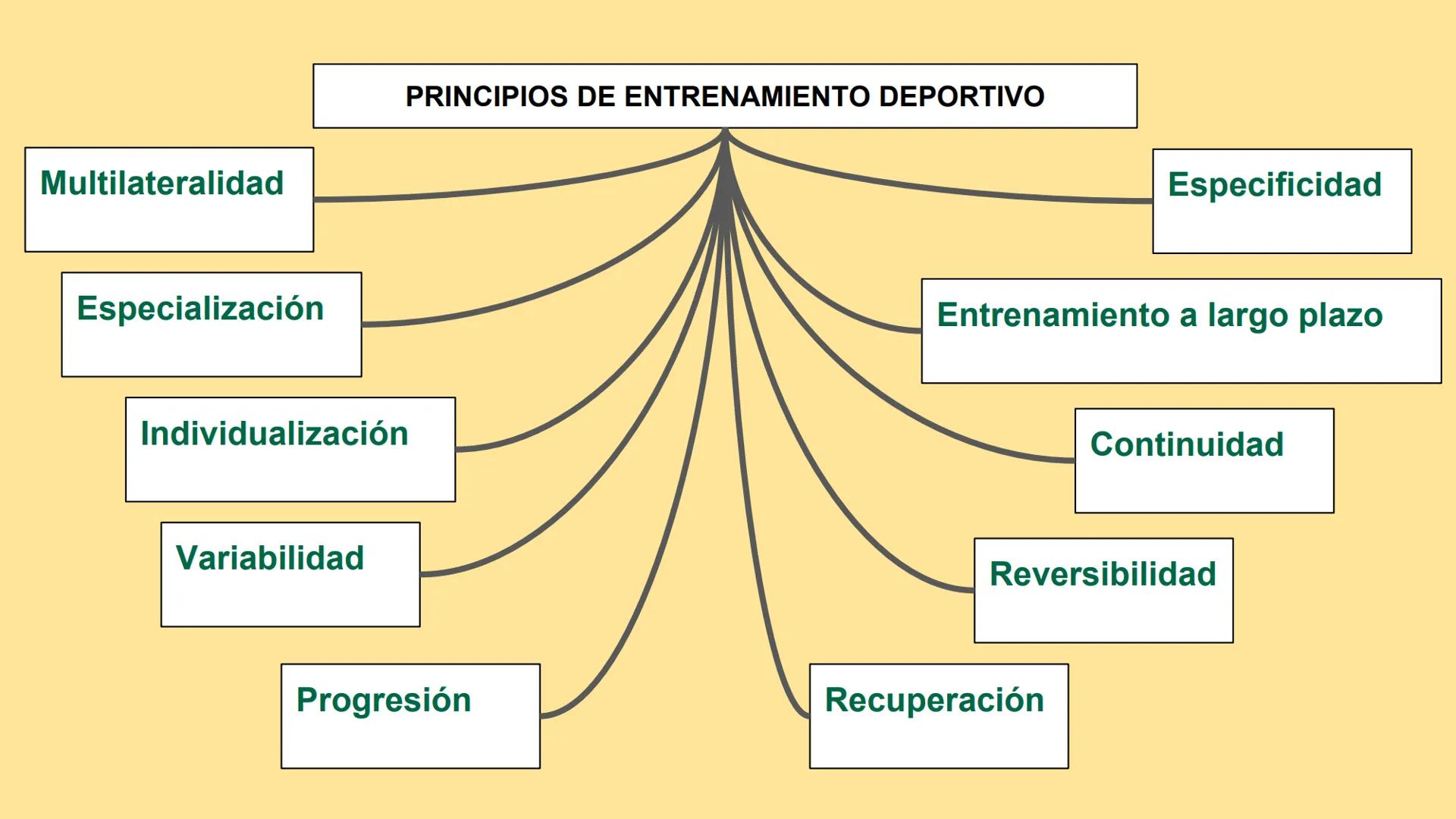 PRINCIPIOS DE ENTRENAMIENTO DEPORTIVO

Multilateralidad

Especificidad

Especialización

Entrenamiento a largo plazo

Individualización

Con