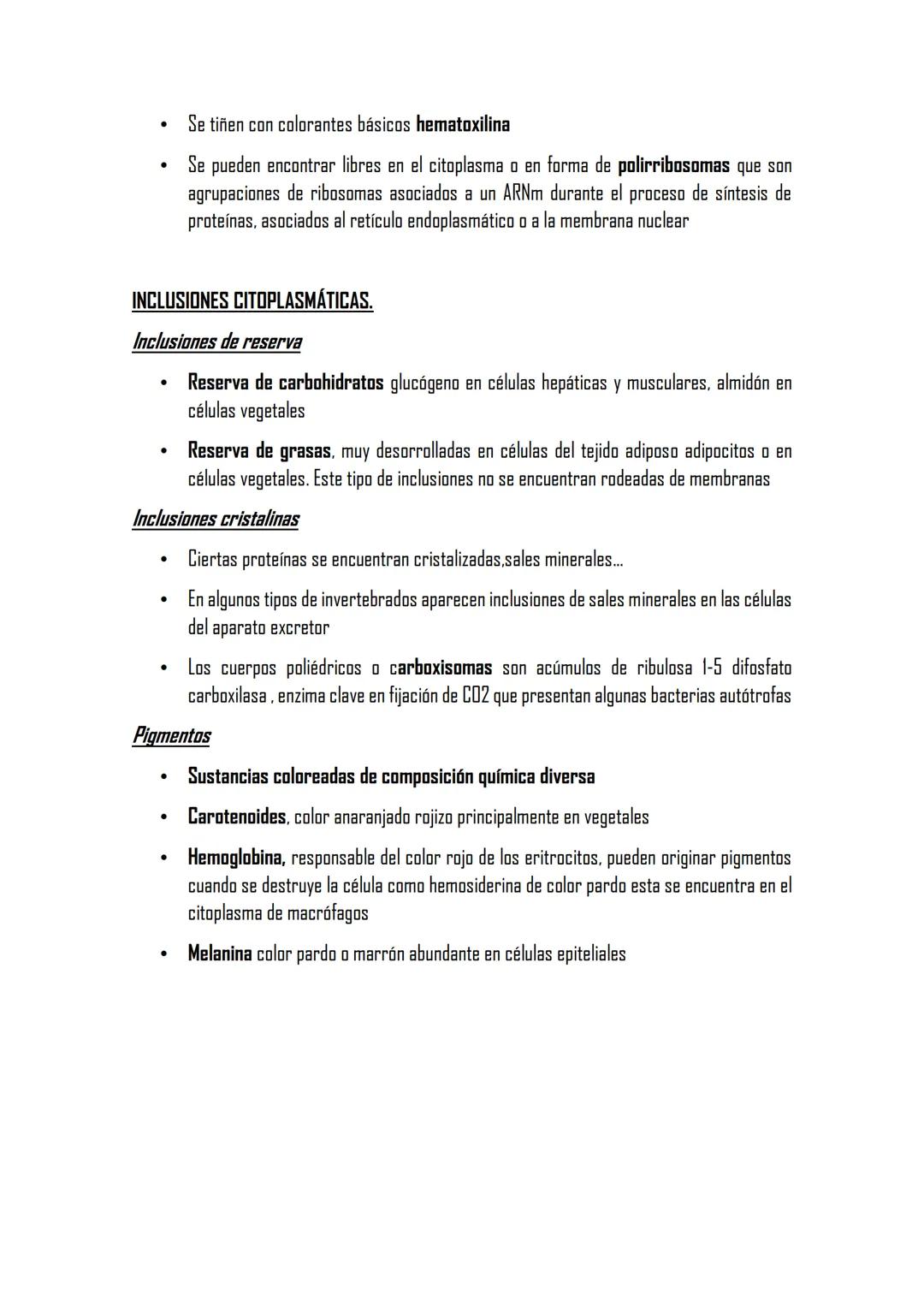 ## 2.4 ORGÁNULOS NO MEMBRANOSOS.
PARED CELULAR
*   COMPOSICIÓN
    -Componente cristalino fibras celulosa
    -Componente amorfo, matriz de 