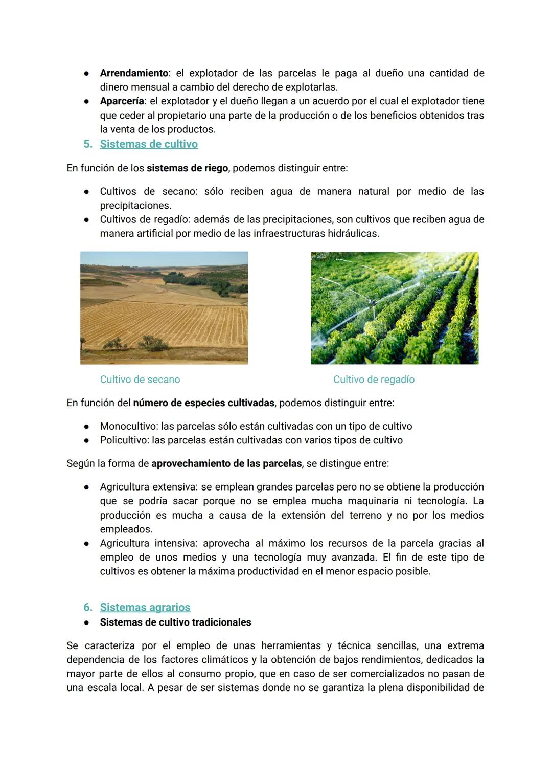 UD 7. El sector primario: agricultura, ganadería y pesca
1. El sector primario
Este sector comprende todas aquellas actividades que permiten