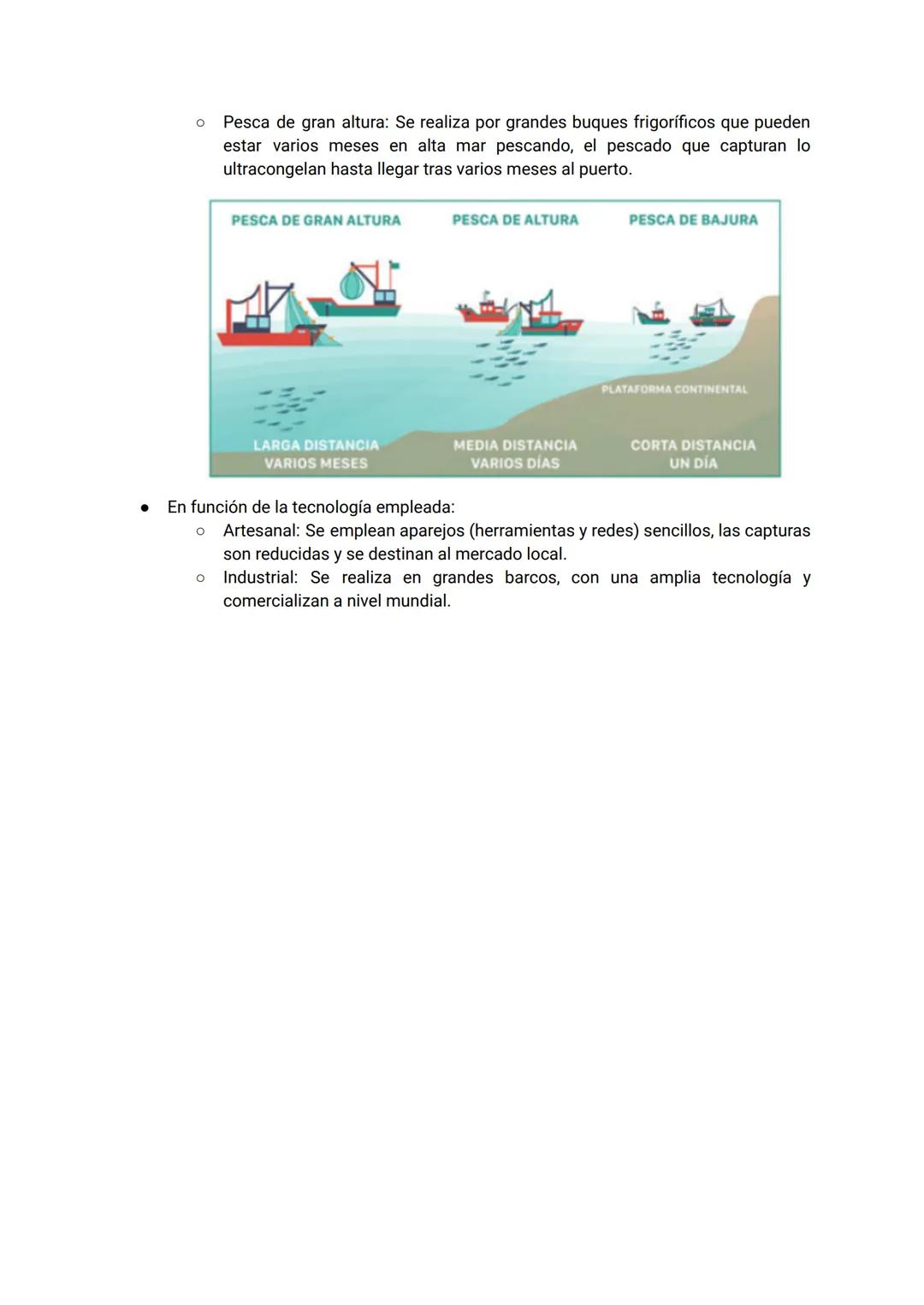 UD 7. El sector primario: agricultura, ganadería y pesca
1. El sector primario
Este sector comprende todas aquellas actividades que permiten