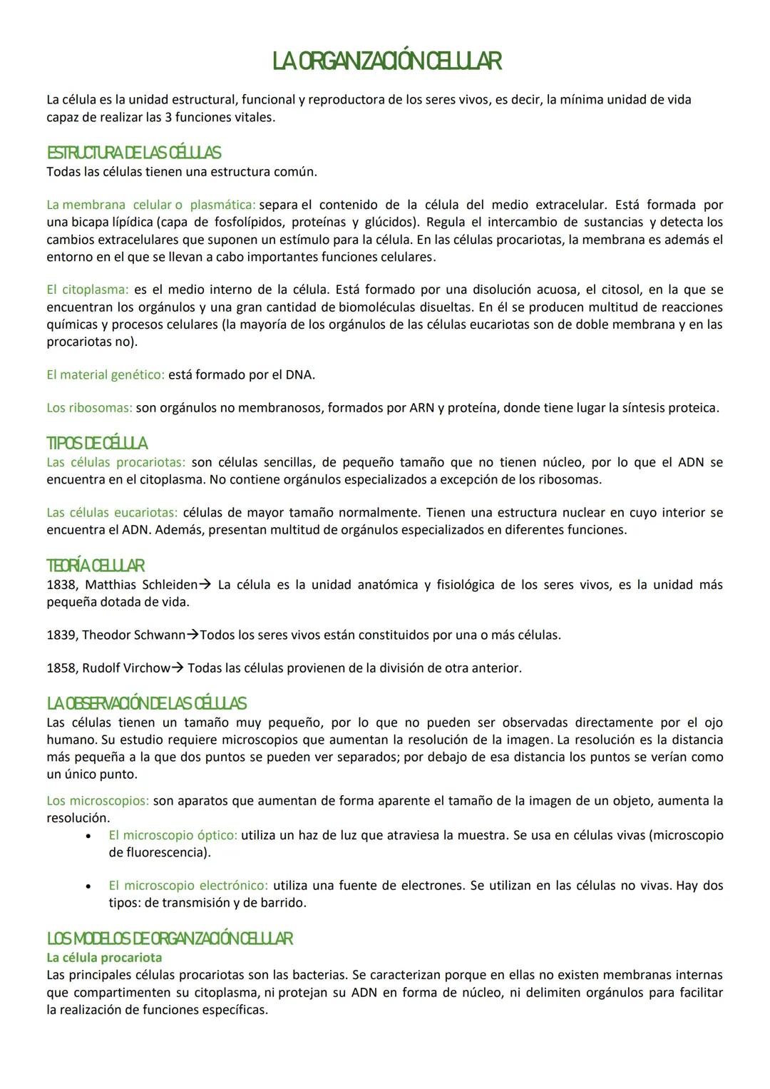 # LA ORGANZACIÓN CELLULAR

La célula es la unidad estructural, funcional y reproductora de los seres vivos, es decir, la mínima unidad de vi