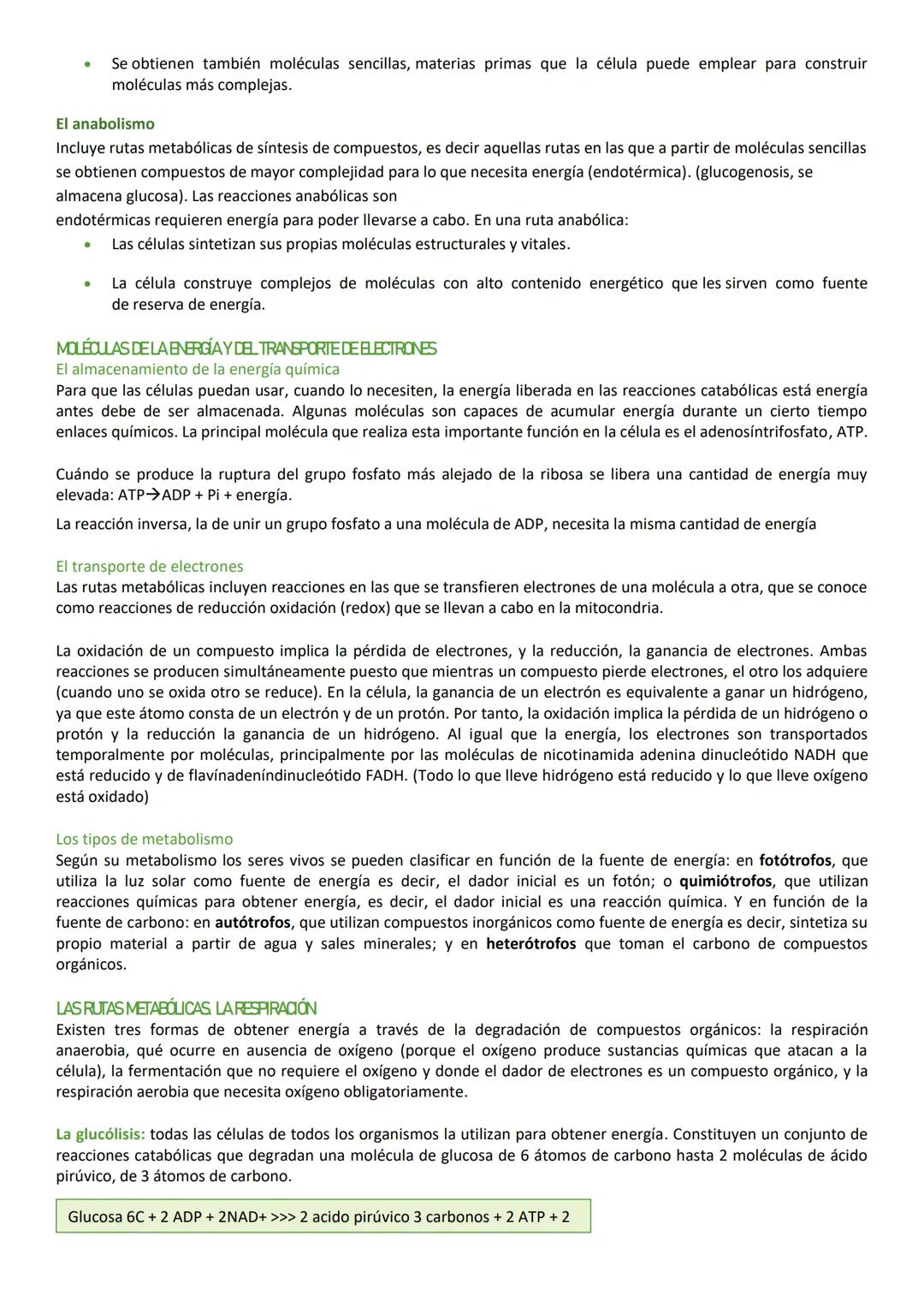 # LA ORGANZACIÓN CELLULAR

La célula es la unidad estructural, funcional y reproductora de los seres vivos, es decir, la mínima unidad de vi