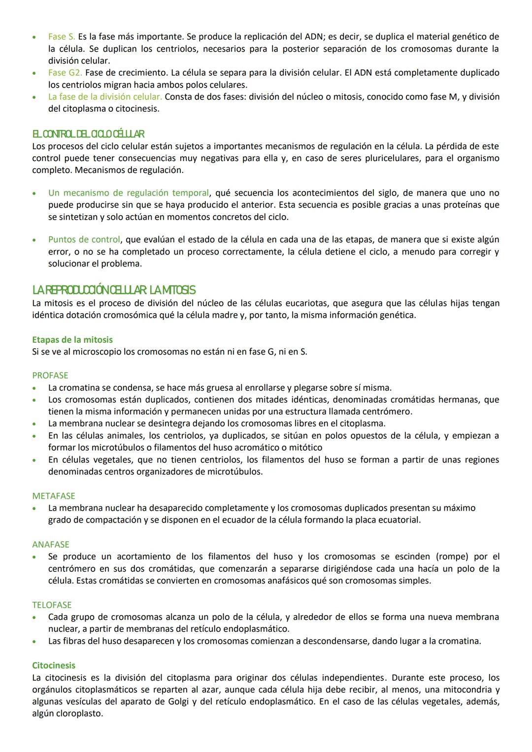 # LA ORGANZACIÓN CELLULAR

La célula es la unidad estructural, funcional y reproductora de los seres vivos, es decir, la mínima unidad de vi