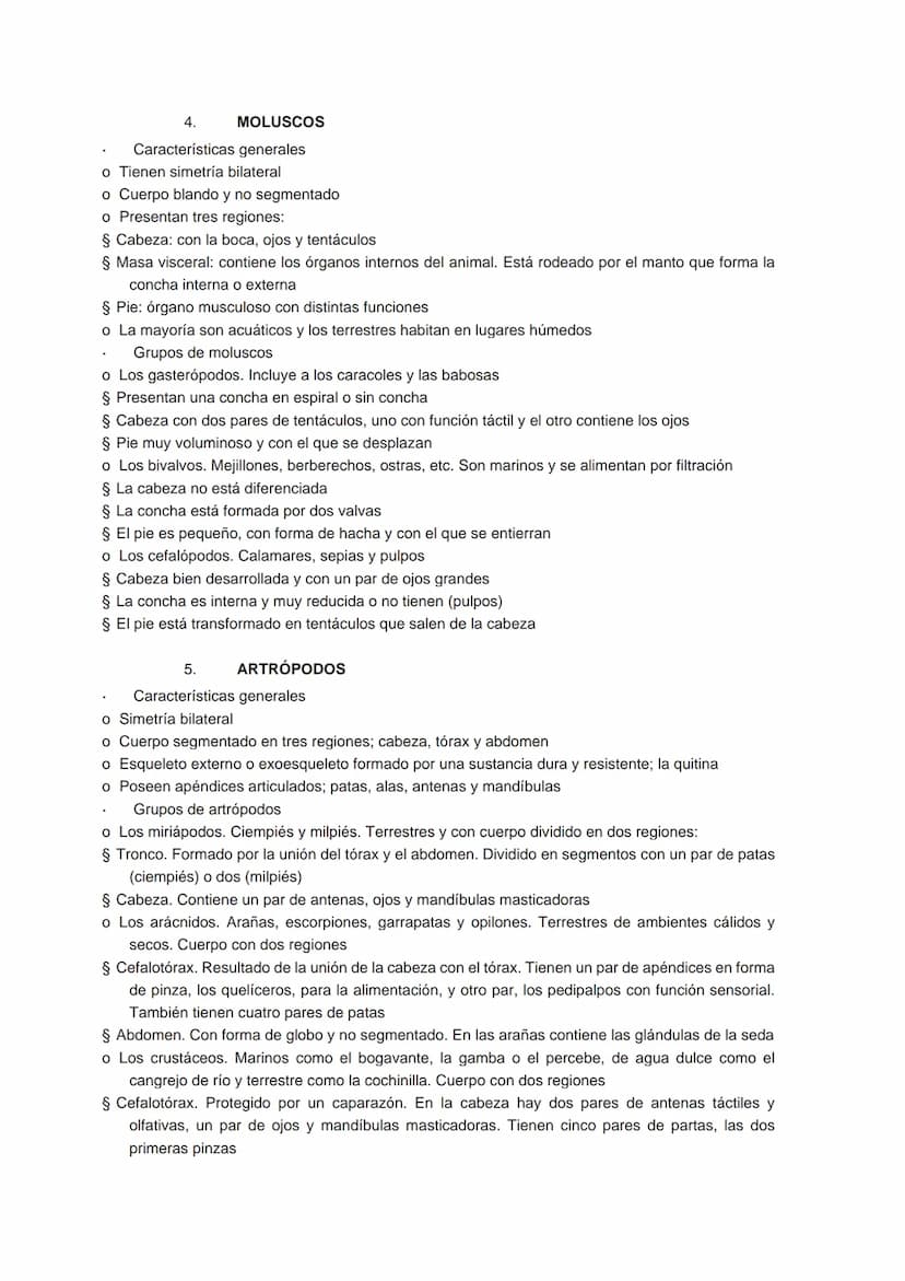 TEMA 7 LOS ANIMALES INVERTEBRADOS
1.
LOS ANIMALES INVERTEBRADOS
Es el grupo de animales más numeroso de la naturaleza. Sus características s