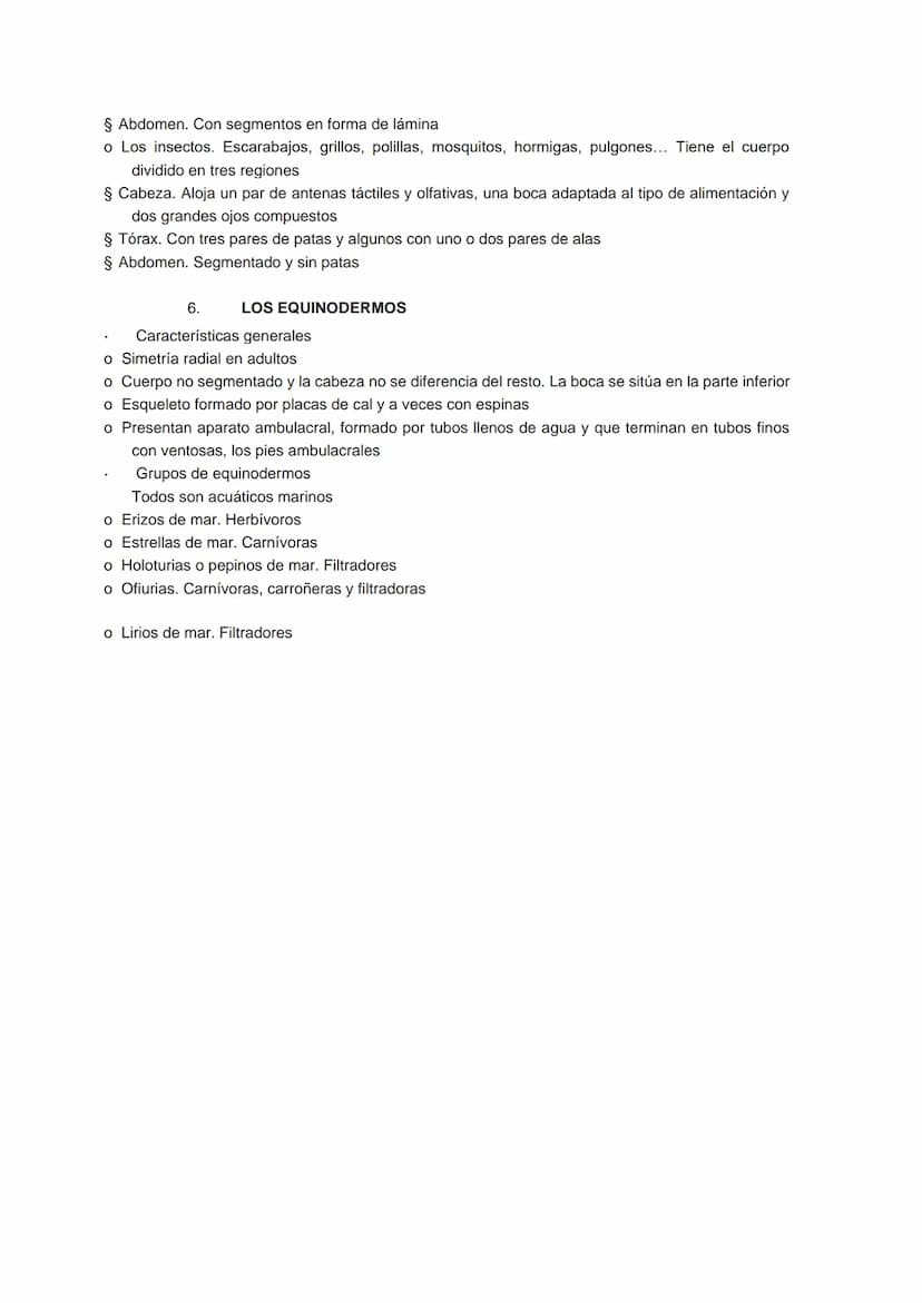 TEMA 7 LOS ANIMALES INVERTEBRADOS
1.
LOS ANIMALES INVERTEBRADOS
Es el grupo de animales más numeroso de la naturaleza. Sus características s