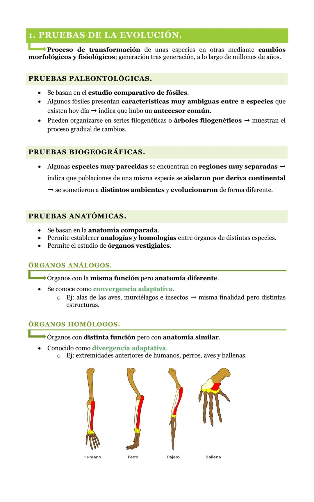 10. EVOLUCIÓN,
al lli
Aida Vázquez Reyes
17-3-2023 1. PRUEBAS DE LA EVOLUCIÓN.
Proceso de transformación de unas especies en otras mediante 