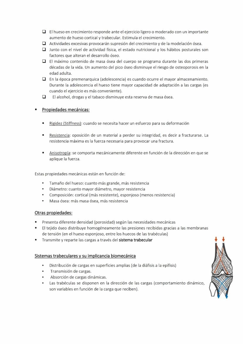Biomecánica I Tema 1 Introducción a la Biomecánica clínica
Cinesiología: movimiento de los seres vivos.
Estudio de las bases biológicas y me