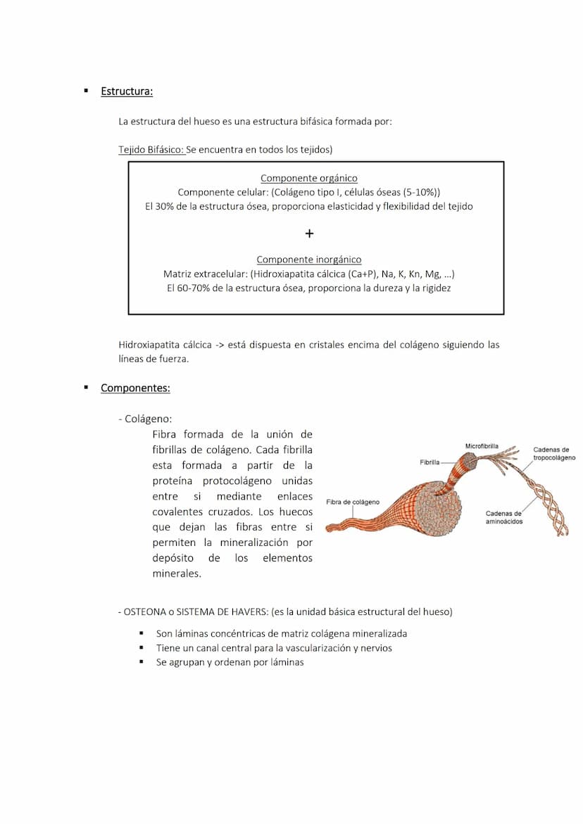 Biomecánica I Tema 1 Introducción a la Biomecánica clínica
Cinesiología: movimiento de los seres vivos.
Estudio de las bases biológicas y me