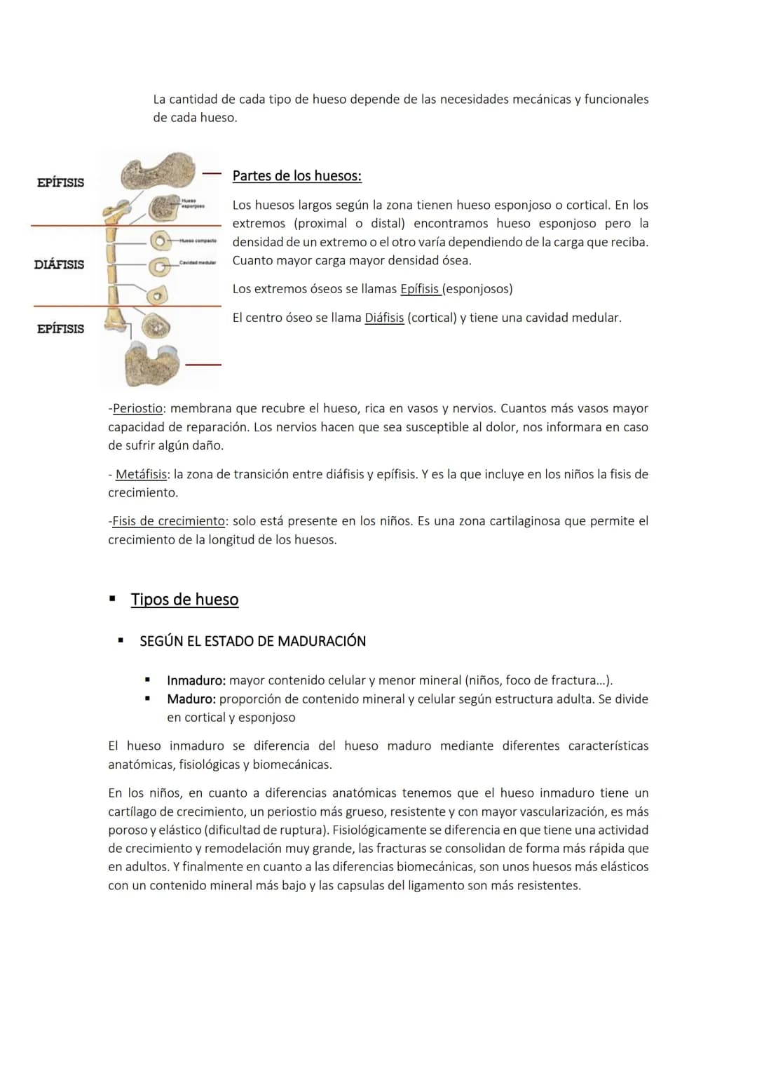 Biomecánica I Tema 1 Introducción a la Biomecánica clínica
Cinesiología: movimiento de los seres vivos.
Estudio de las bases biológicas y me