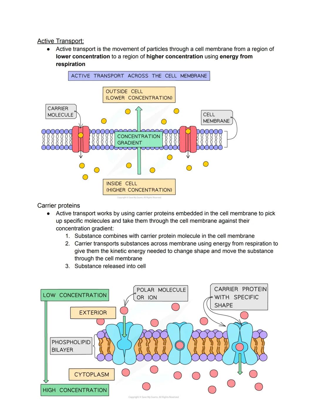 •
BIOLOGY
Characteristics of Living Organisms
Movement: an action by an organism or part of an organism causing a change of
position or plac