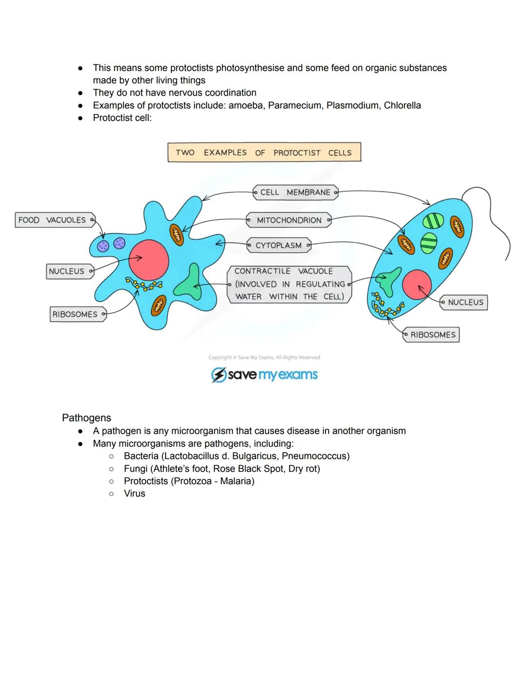 •
BIOLOGY
Characteristics of Living Organisms
Movement: an action by an organism or part of an organism causing a change of
position or plac