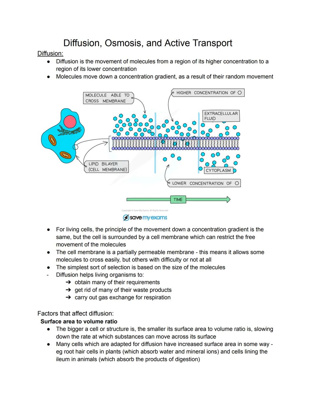 •
BIOLOGY
Characteristics of Living Organisms
Movement: an action by an organism or part of an organism causing a change of
position or plac